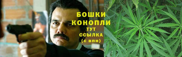 стаф Каменка