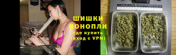 стаф Каменка