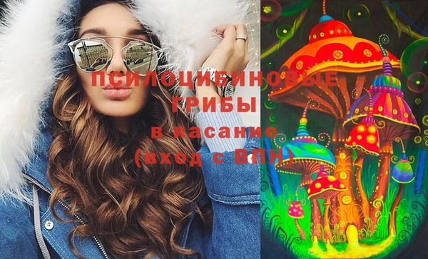 кокс Каменногорск