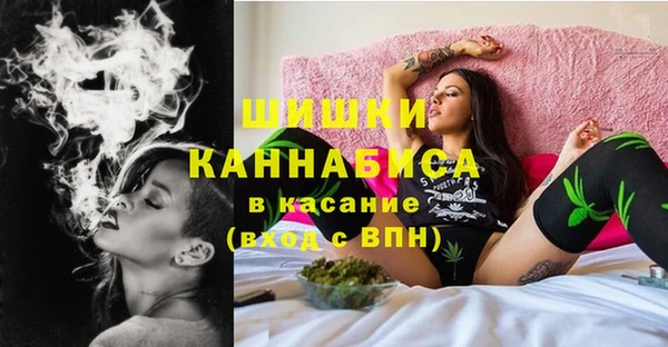 стаф Каменка
