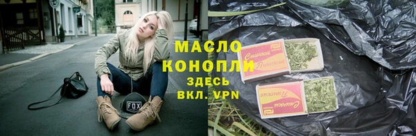 стаф Каменка