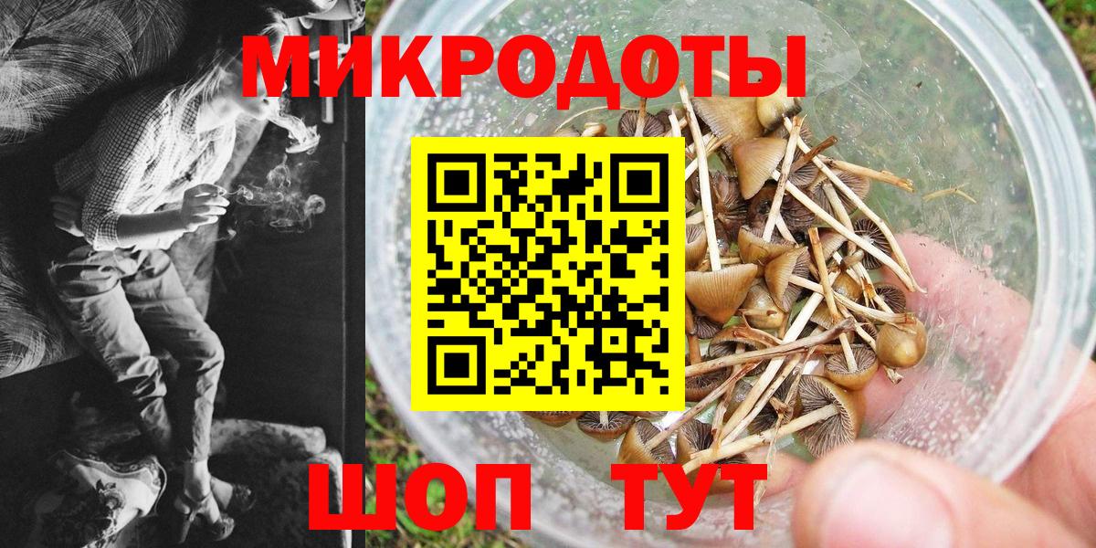 Галлюциногенные грибы Psilocybine cubensis  Вход с VPN  Югорск 