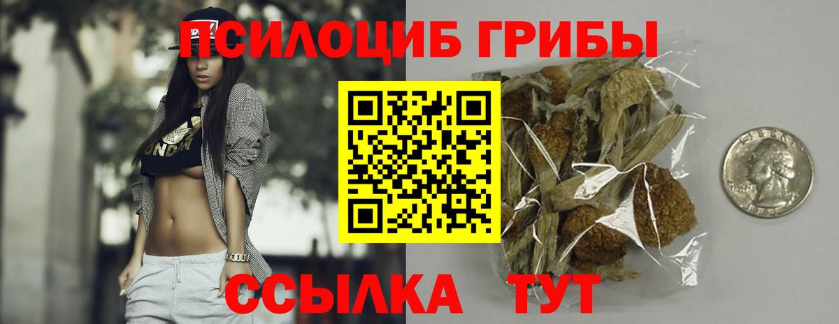 Галлюциногенные грибы Psilocybine cubensis Югорск